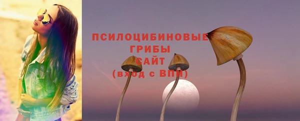 крисы Нязепетровск