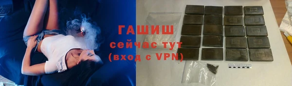 эйфоретик Няндома