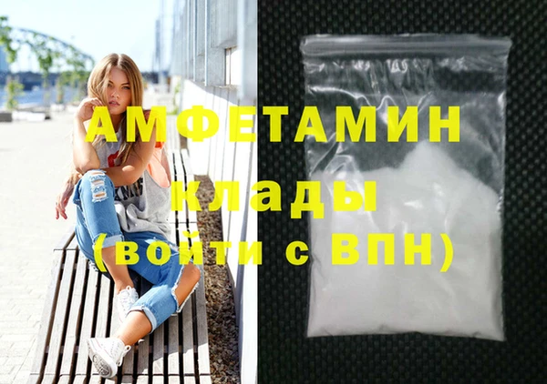 эйфоретик Няндома