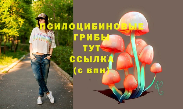 хмурый Инсар