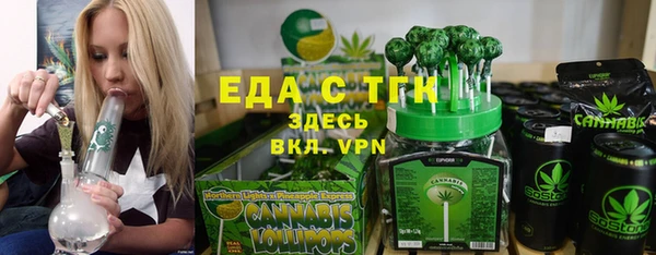 эйфоретик Няндома